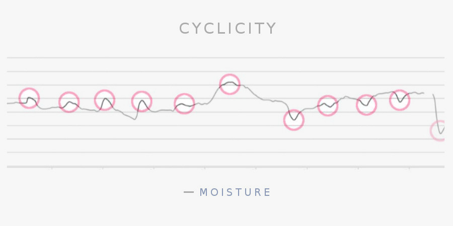 Cyclicty w Phobos - Caronte Consulting