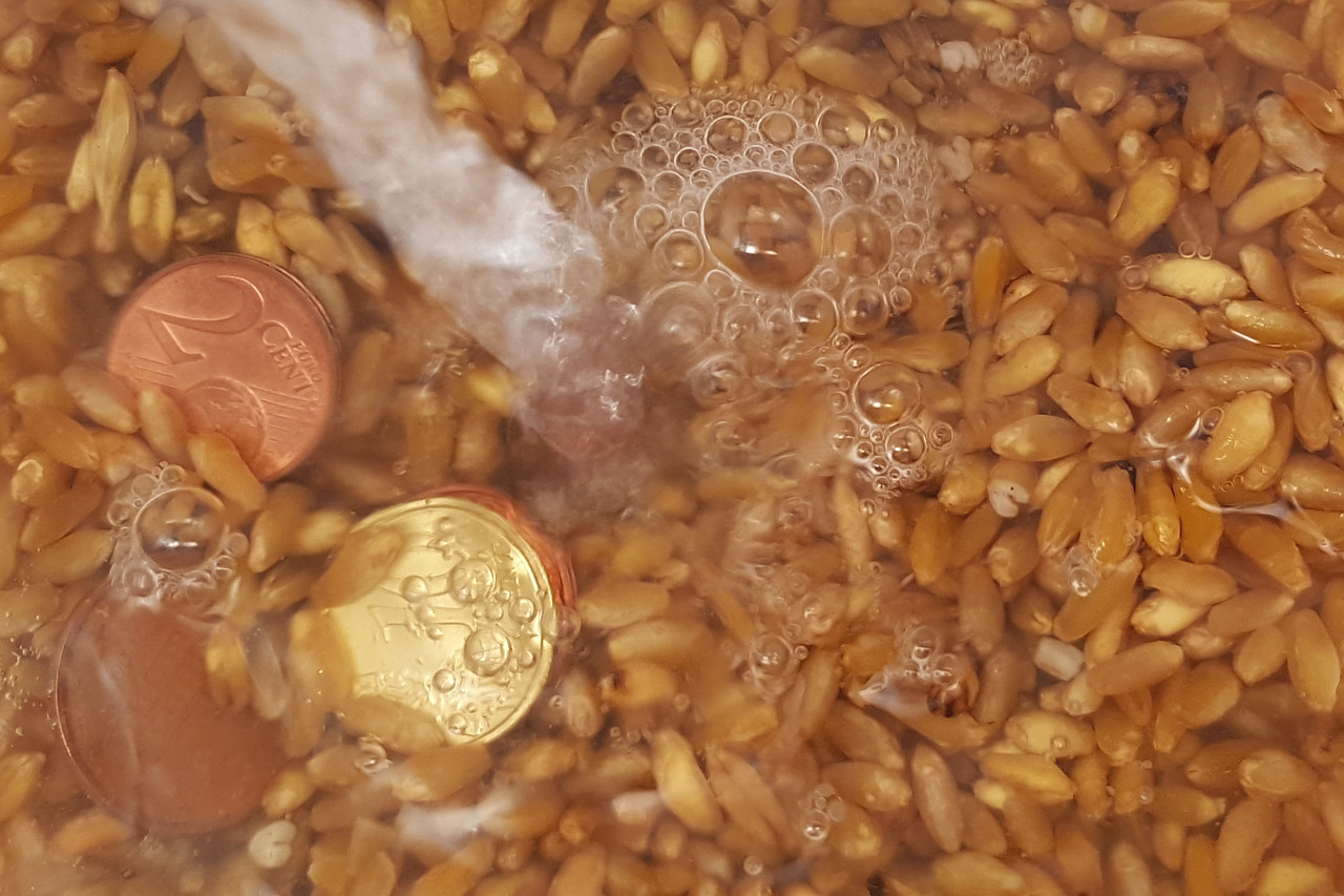 La bagnatura del grano intelligente - Caronte Consulting