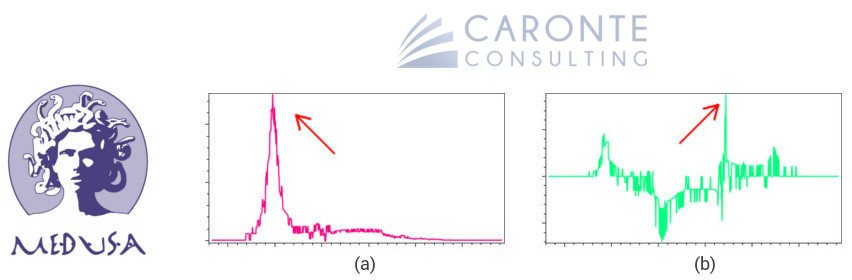 Hydra + Medusa - Caronte Consulting