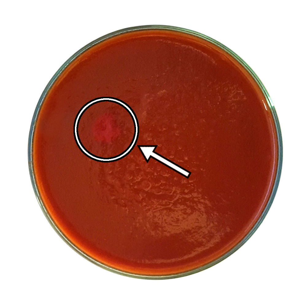 Lycopene in the tomato puree. - Caronte Consulting