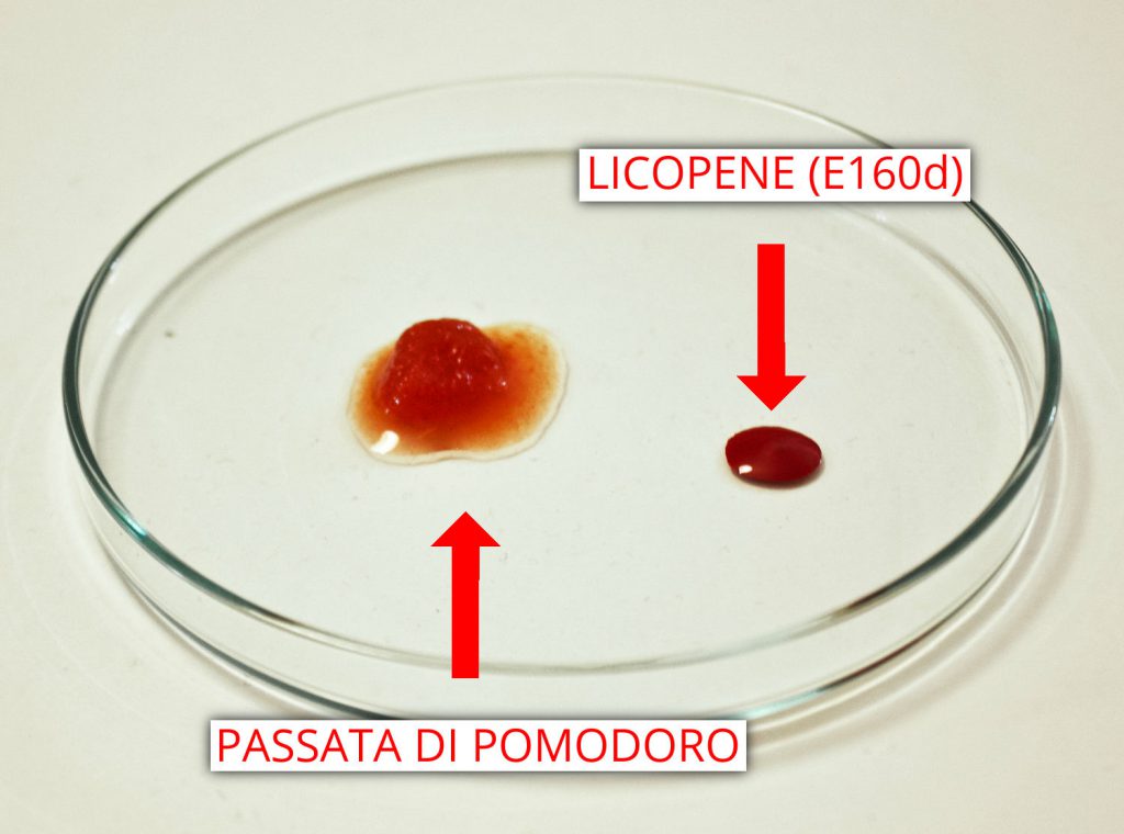 Lycopene vs tomato puree - Caronte Consulting