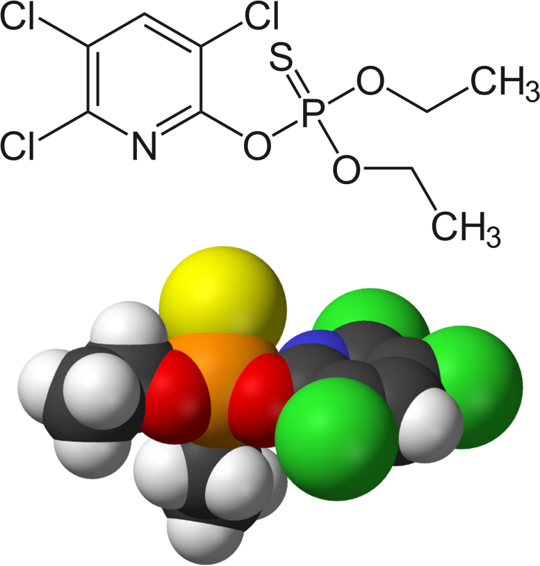 Molecule CLORPIRIFOS