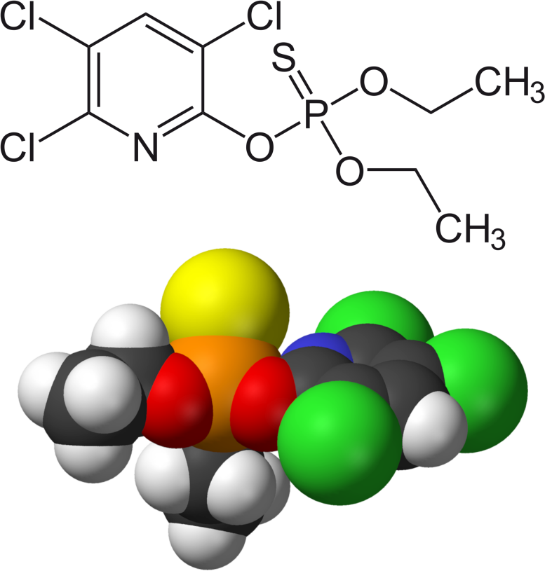 20190826 Molecola CLORPIRIFOS