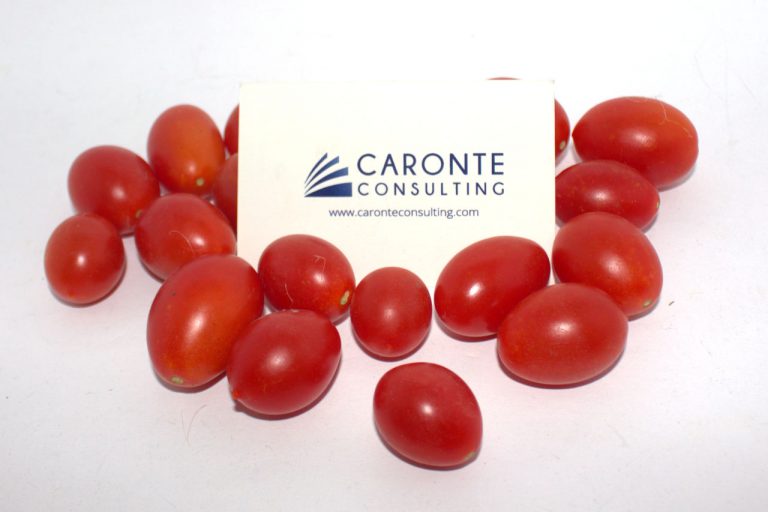 Trovare pesticidi nel pomodoro Cover - Caronte Consulting