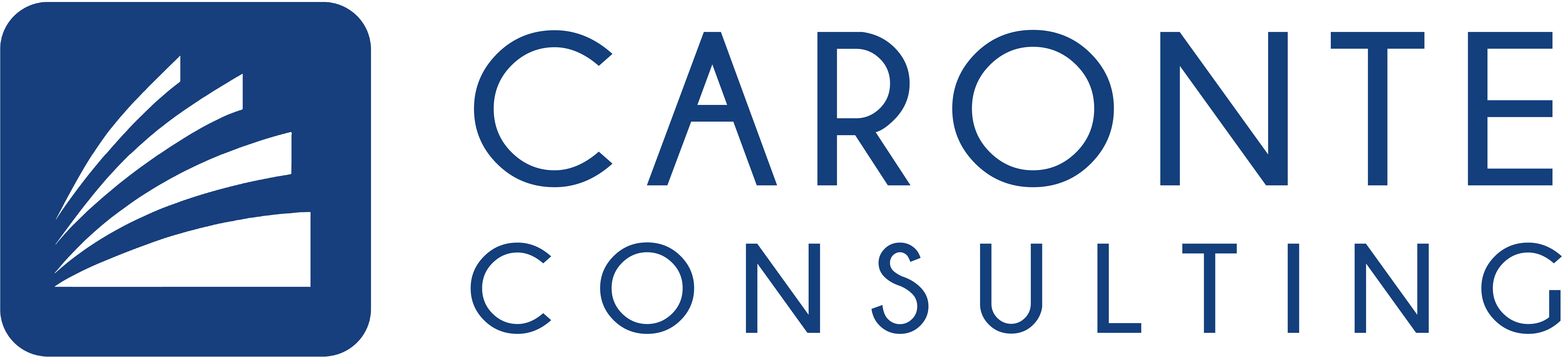 Caronte Consulting
