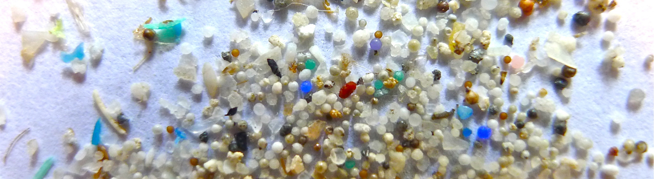 Microplastiche - Caronte Consulting