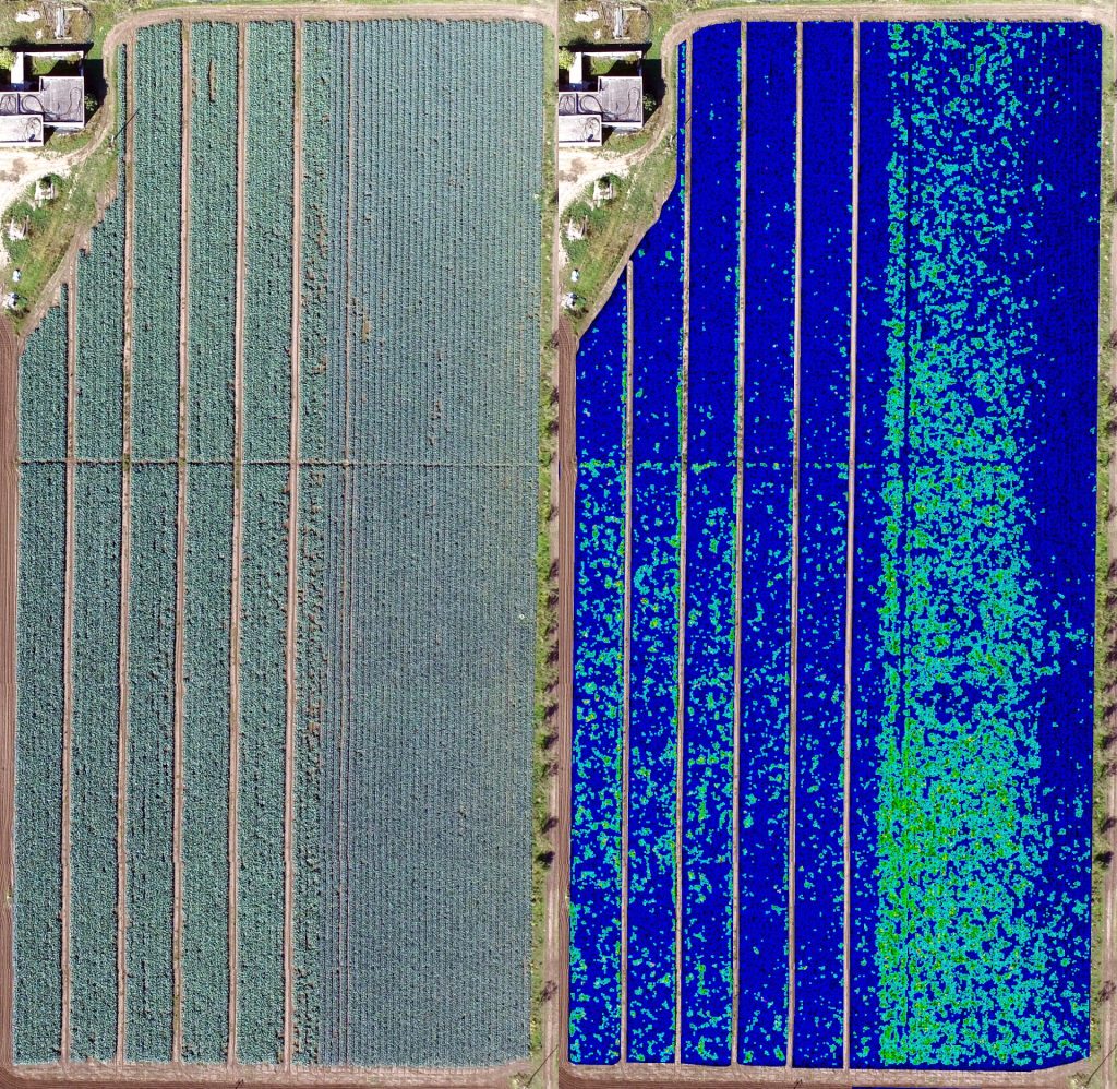 Agricoltura di precisione 3