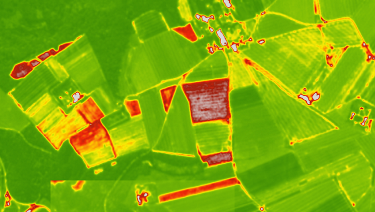 NDVI